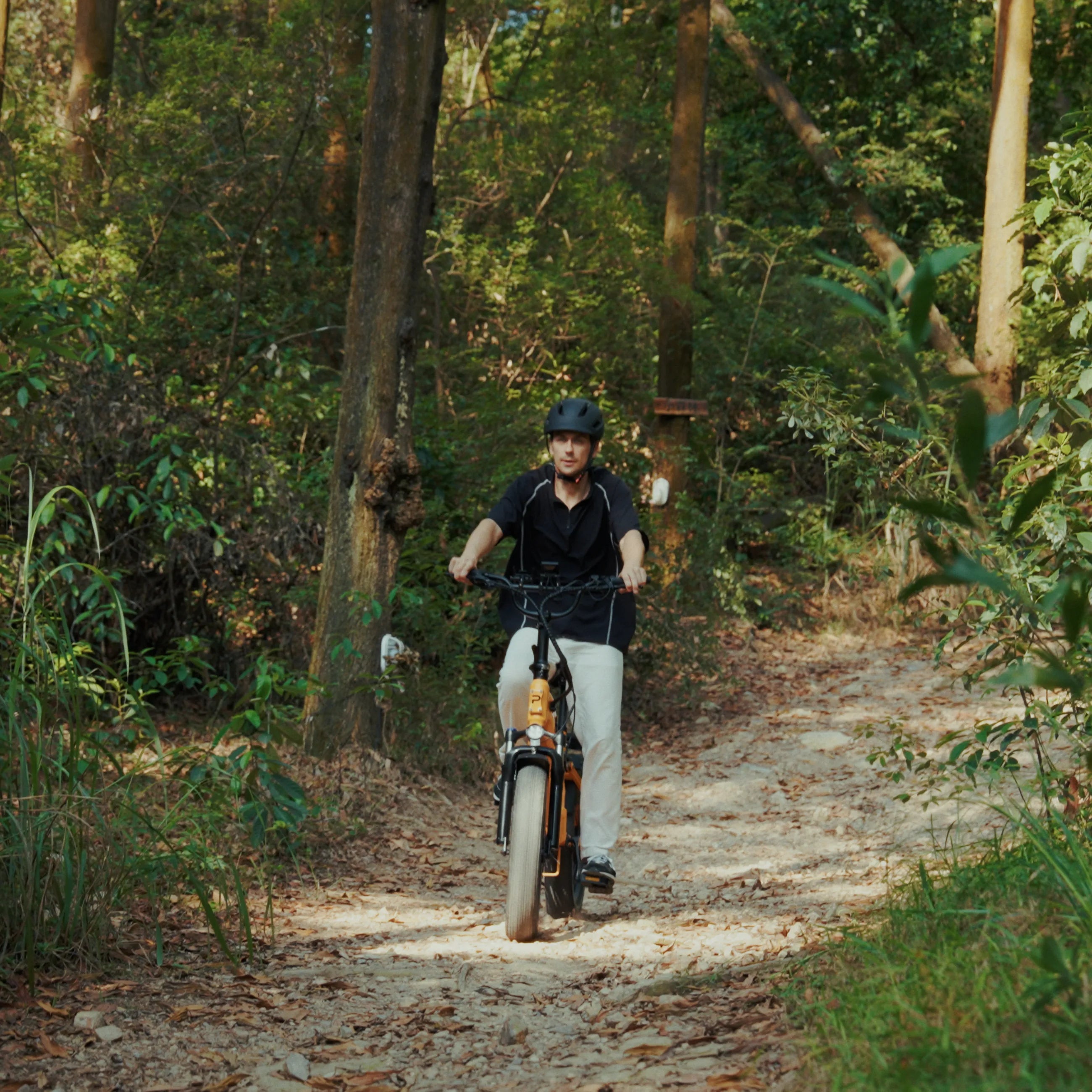 How Much Torque Do You Need on an Electric Bike blog banner