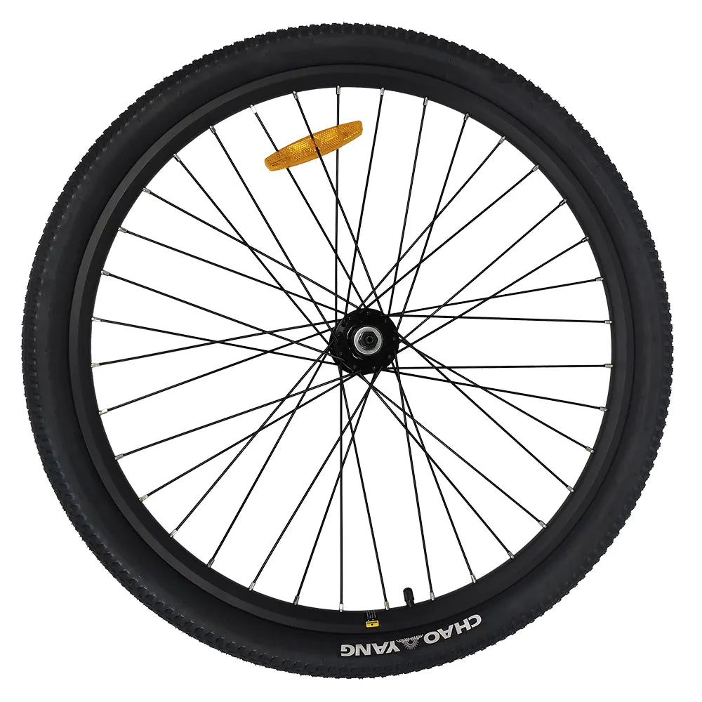 Roue avant du PIXAR® Cruiser